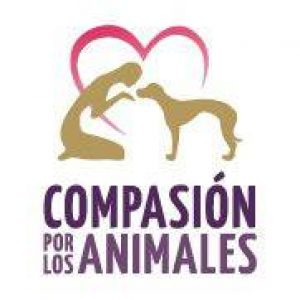 Compasión por los animales