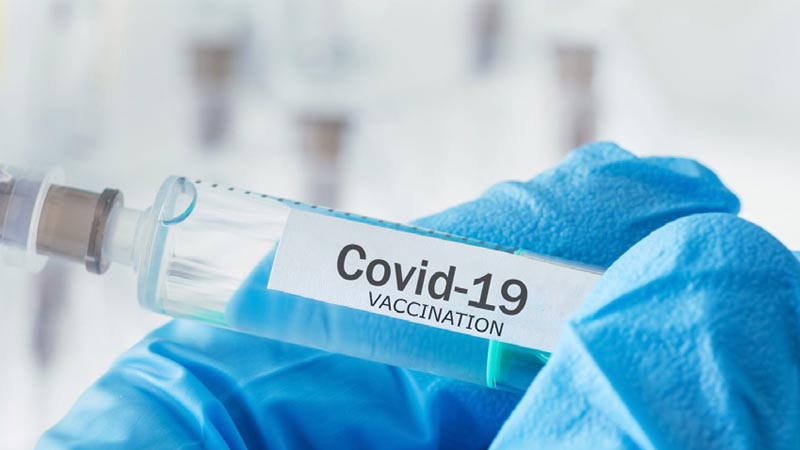 El sistema inmune y el COVID-19
