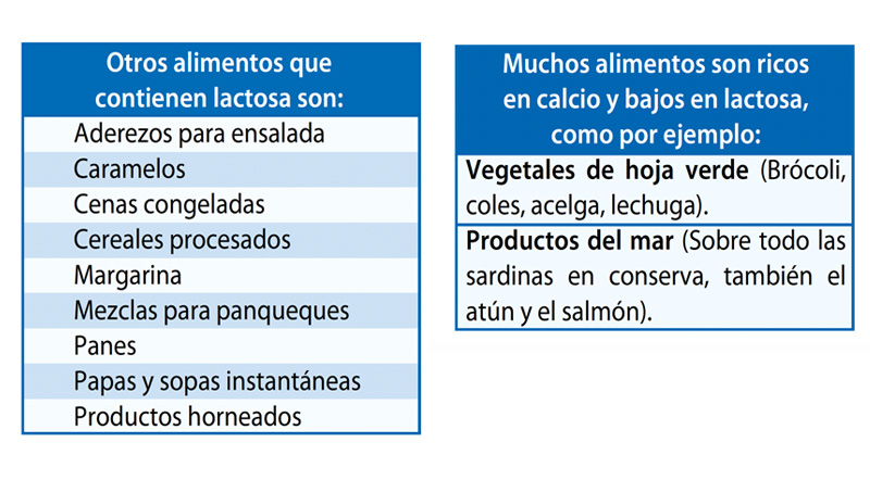 Alimentos que contienen lactosa